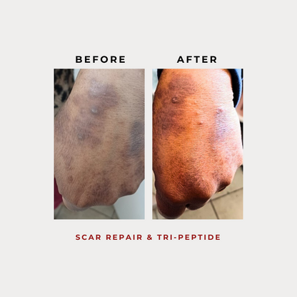 Scar Repair & Tri-Peptide 30g